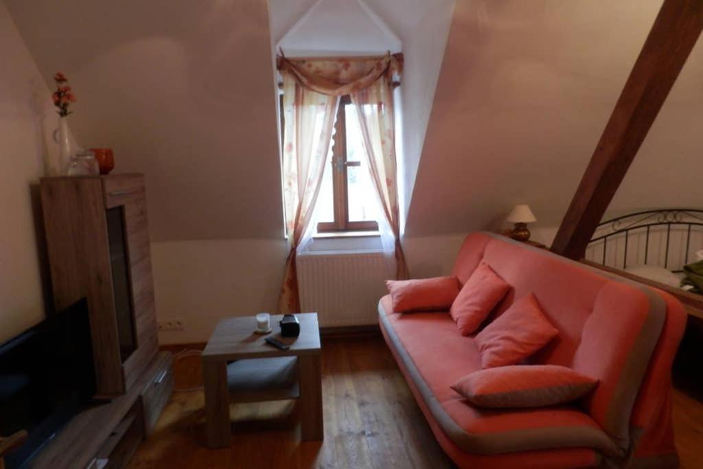 Zámeček Zdíky - Moderní velký apartmán Bujanov Exterior foto